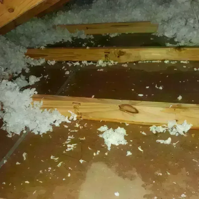 Attic Water Damage in Vinton, LA